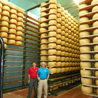 Wheels of Parmigiano Reggiano & cheese heads