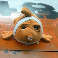 NEMO!