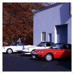 More Alfas in the parking lot...