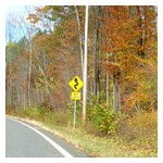 A sign of what we went looking for during the drive