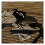 Study in brown — leather on leather