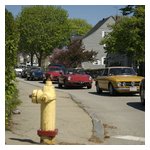 Gathered together as we navigate around a fire hydrant