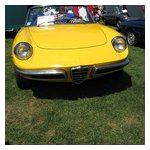 ...and one in yellow
