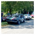 Some Alfas find a little shade while waiting to do some runs