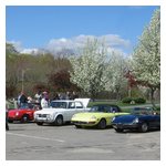 Some shots of the Alfas and Alfisti assembling in Hingham Harbor