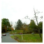 On the road after passing a vegetable farm