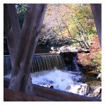 Peace and calm prevails at the Old Mill...