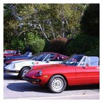 Some shots of our cars lined up before the start