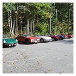 Some shots of our cars lined up before the start
