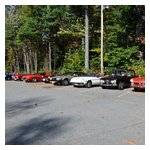 Some shots of our cars lined up before the start