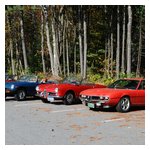 Some shots of our cars lined up before the start