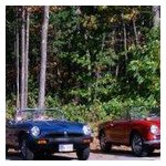 Some shots of our cars lined up before the start