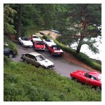 Some of the Alfas parked in the driveway at the rally's end