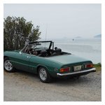 A few shots of our Alfas with the oceanic background at Cook's