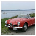 A few shots of our Alfas with the oceanic background at Cook's