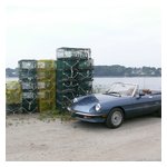 A few shots of our Alfas with the oceanic background at Cook's