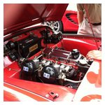 Uncommon sight to Alfisti - SU carbs and all those Lucas electrical bits