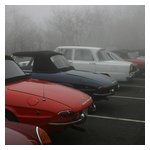 Some shots of the cars and us in the morning fog