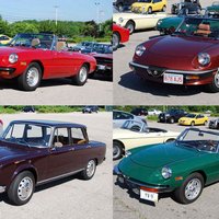 Some of the Alfas gathered at the start of the rally