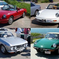 Some of the Alfas gathered at the start of the rally