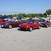 Alfas and British cars comingle peacefully before the competition begins
