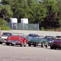 Alfas and British cars comingle peacefully before the competition begins