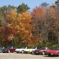 A couple of photos of our cars parked at the rest stop