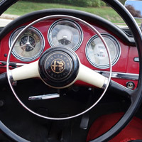 The Lesniewiczes' cockpit instrument panel