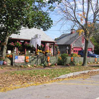 An enemy position heavily camouflaged with Halloween decorations