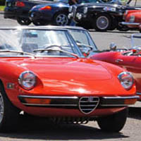 Alfas and more Alfas arrived that day to join other Alfas on the lot that were for sale