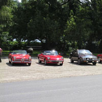 Our Alfas lined up at a stop along the Salmon Falls River