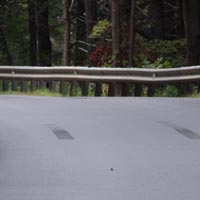 These are the skid marks Rich Rumelt left behind when his engine seized