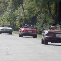 A few shots taken of our entourage while under way