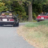 A few shots taken of our entourage while under way