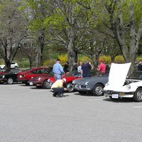 The morning lineup in Hingham Harbor