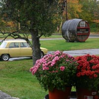 Some shots of our cars at the Hardwick Winery stop
