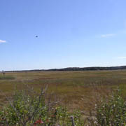 The marshes were a common sight along this stretch