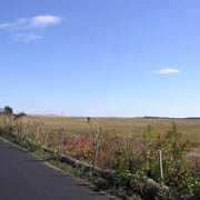 The marshes were a common sight along this stretch