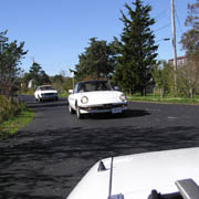 Usually, in a photo like this, all of the Alfas would be red, not white!