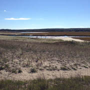 ... and dunes and marshes
