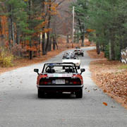 Through the woods
