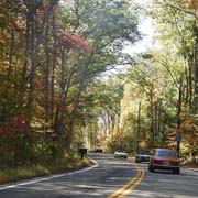 A few shots of our Alfas under way along the first leg of the tour