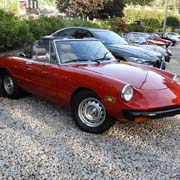 And LOTS of photos of our Alfas lined up beautifully out front