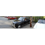 And LOTS of photos of our Alfas lined up beautifully out front