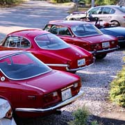 And LOTS of photos of our Alfas lined up beautifully out front