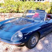 And LOTS of photos of our Alfas lined up beautifully out front