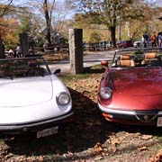 ... and a few squoze in where they could, but ...