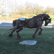 Blackhawk