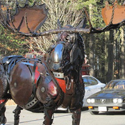 Bullwinkle!