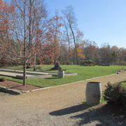 Frigid foliage